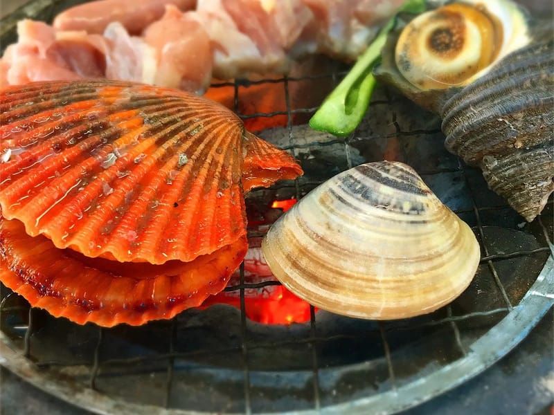 ウェルえびす - 有料老人ホーム in 今治市, 愛媛県 photo 1