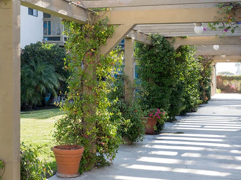 Del Obispo Terrace Senior Living - Assisted Living in San Juan Capistrano, CA photo 3