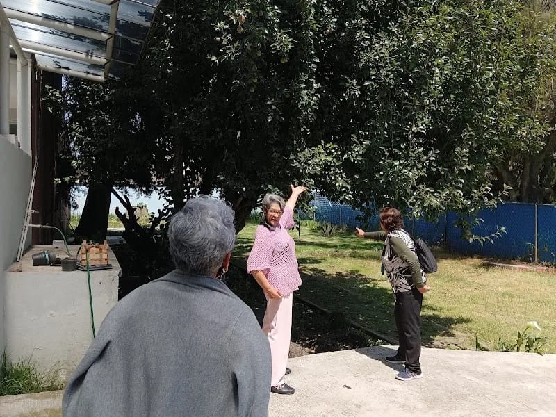 CASA DE DIA Y CENTRO CULTURAL ISSSTE TOLUCA DEL ADULTO MAYOR - Hogar de Ancianos in Toluca, Estado de México photo 5