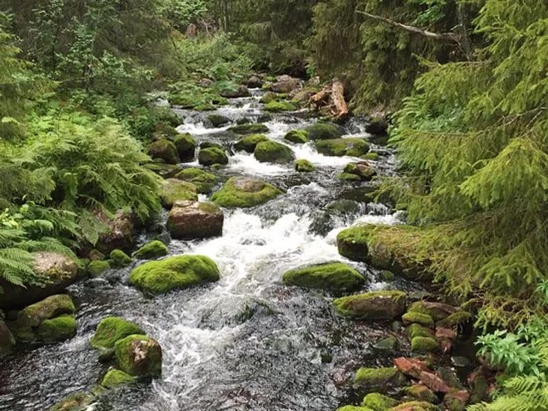 Gullogården - Äldreboende in Mora, Dalarnas län photo 2