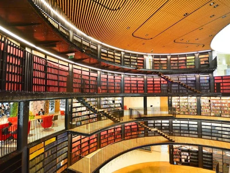 CASA HOGAR PUERTA HERMOSA IAP - Vida Asistida in Ensenada, Baja California photo 3