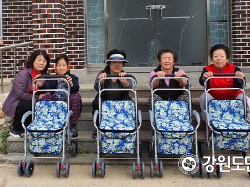 경희의료기 - 요양원 in 삼척시, 강원특별자치도 photo 1
