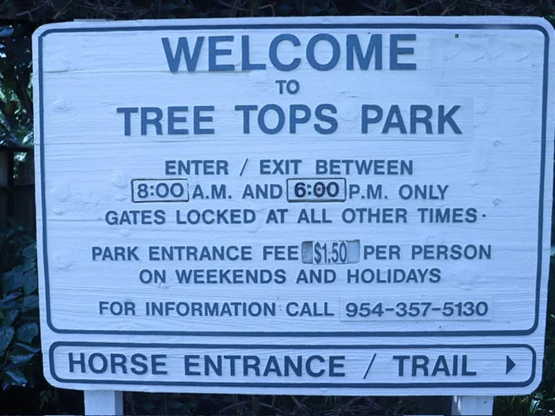 Tree Tops - In-Home Care in South Croydon, England photo 2