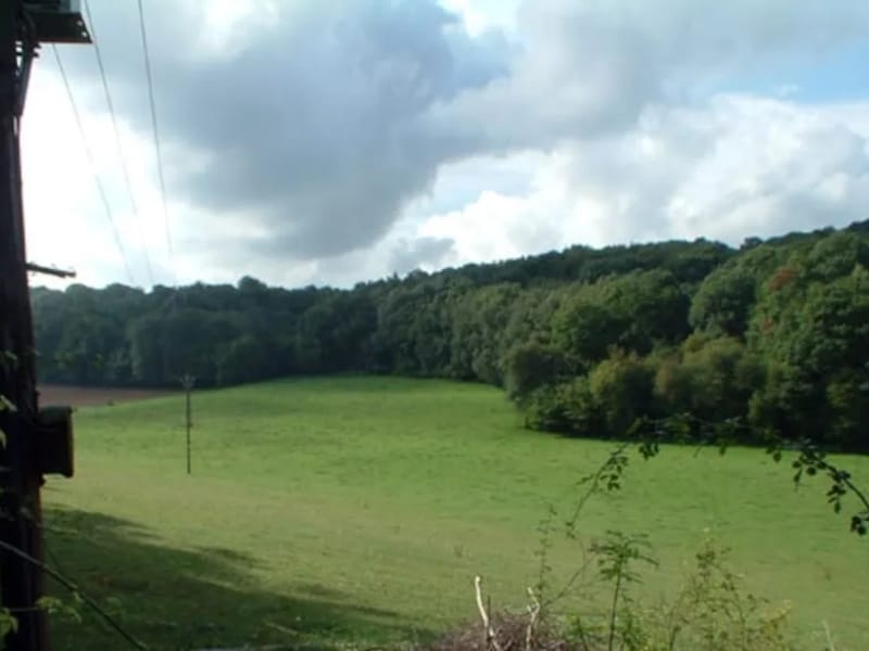 Tree Tops - In-Home Care in South Croydon, England photo 3