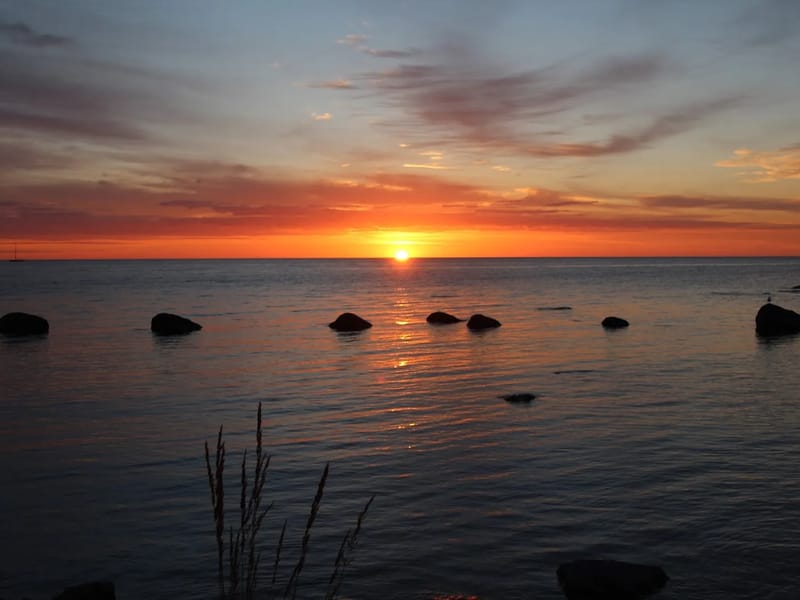 Solrosen - Äldreboende in Gotland, Gotlands län photo 2