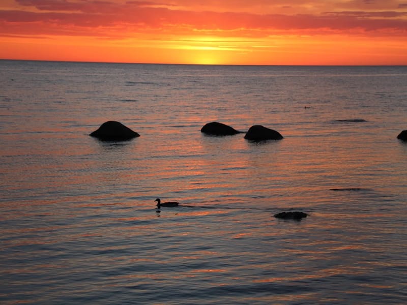 Solrosen - Äldreboende in Gotland, Gotlands län photo 3