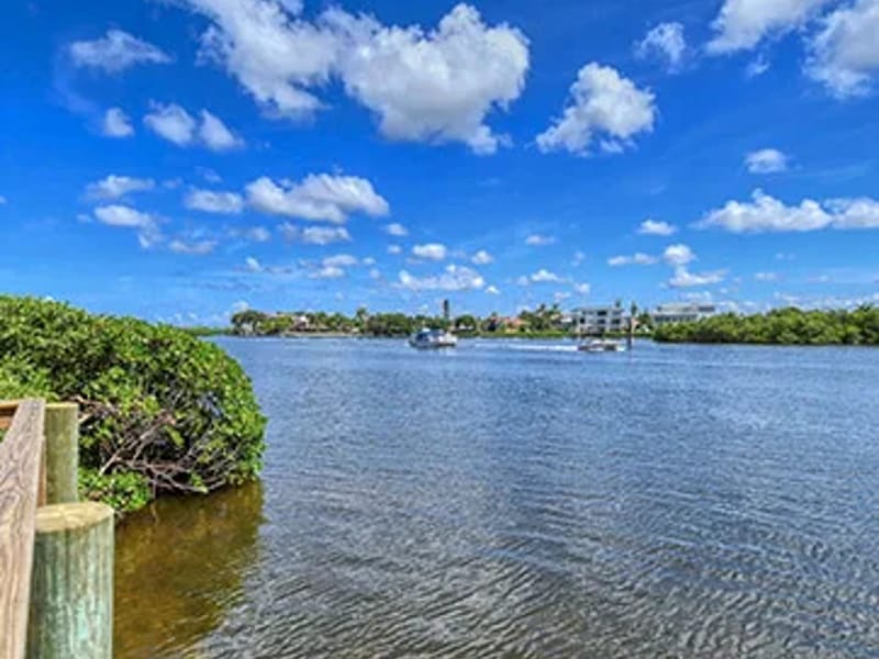Excelsior Omega # 2 - Assisted Living in Sarasota, FL photo 2