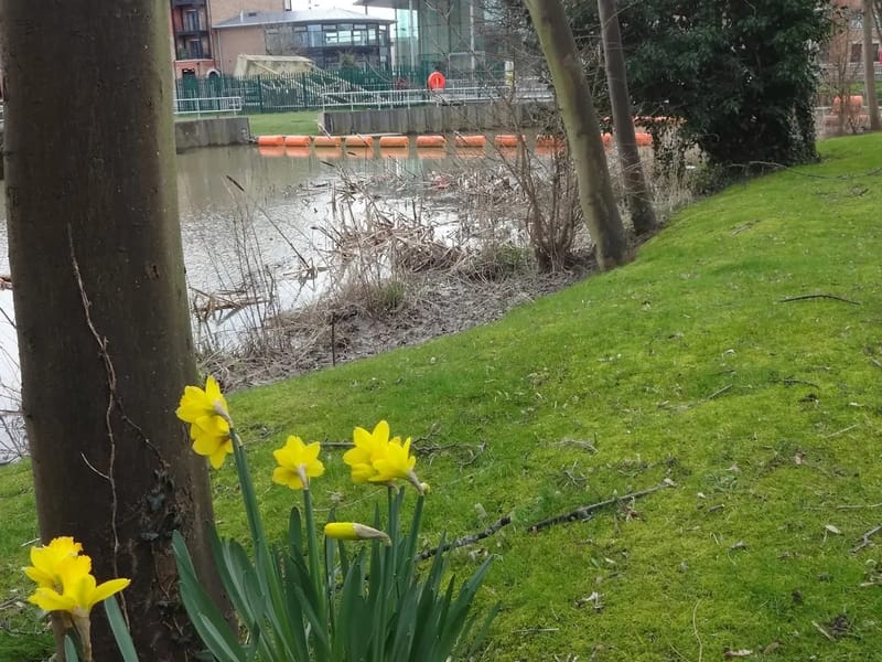 Dawning Care Ltd - In-Home Care in Tonbridge, England photo 3