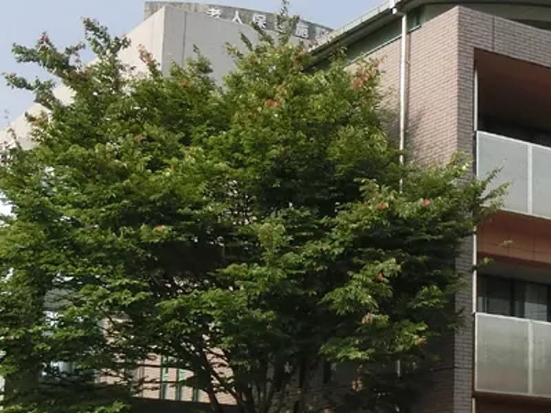 あったかケアみずき指定居宅介護支援事業所 - 有料老人ホーム in 高知市, 高知県 photo 2