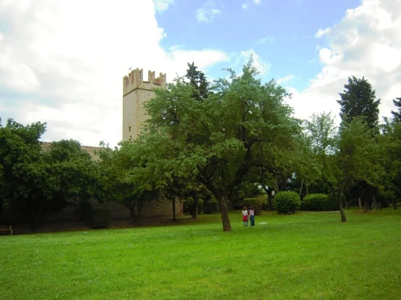 RSA ACCIAIOLO - Casa di Riposo in Scandicci, FI, Toscana photo 2