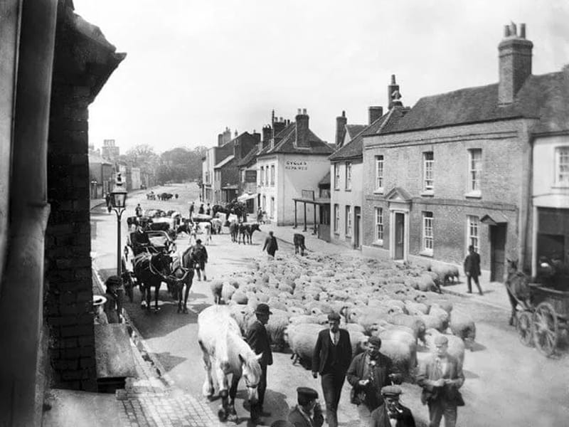 Southernwood - Assisted Living in Amersham, England photo 1