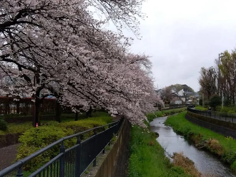 ふれあい工房東久留米営業所 - 有料老人ホーム in 東久留米市, 東京都 photo 1