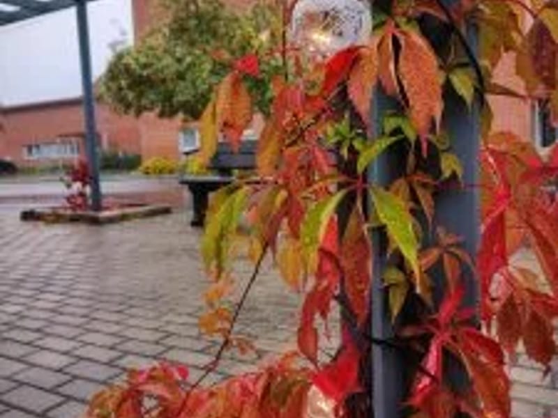 Hallin palvelutalo in Jyväskylä, Keski-Suomi photo 2
