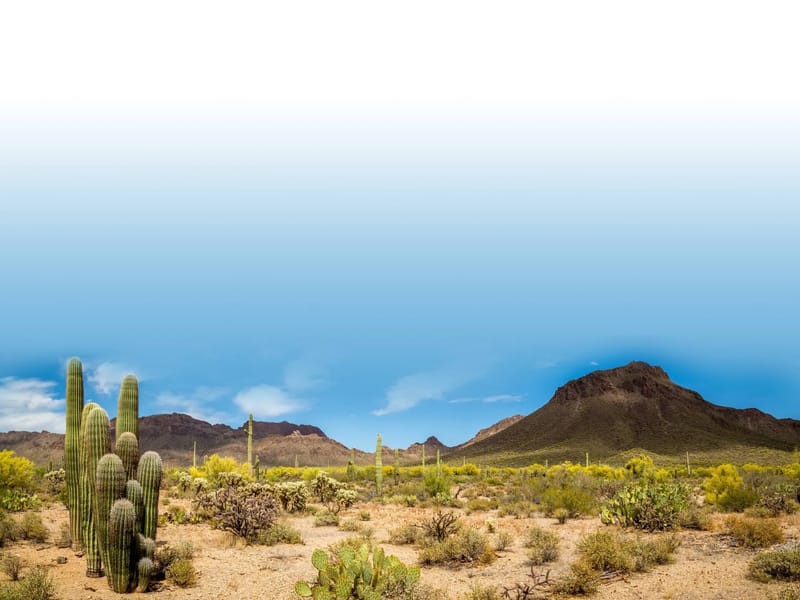 Care Choices, INC - Home Health Nursing in Oro Valley, AZ photo 1