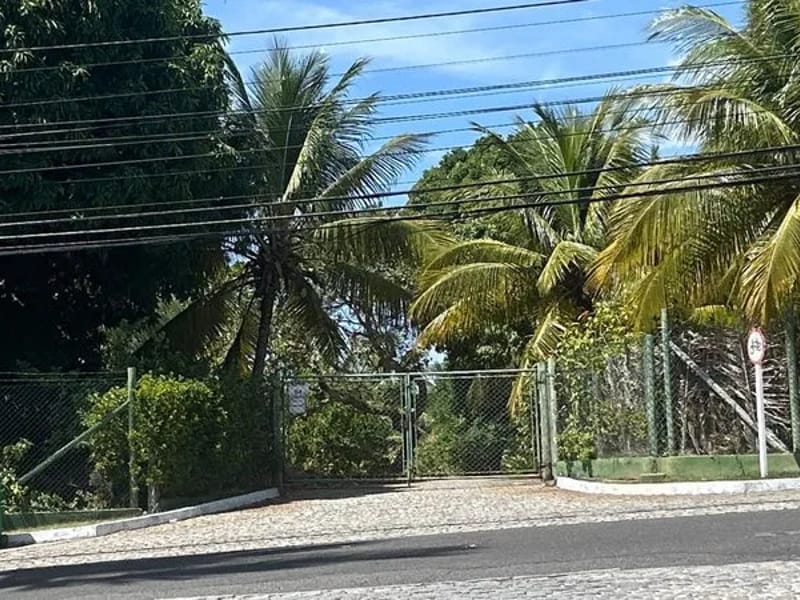 INSTITUTO ARARA AZUL DE OBESIDADE - Cuidado Domiciliar in Camaçari, BA photo 1