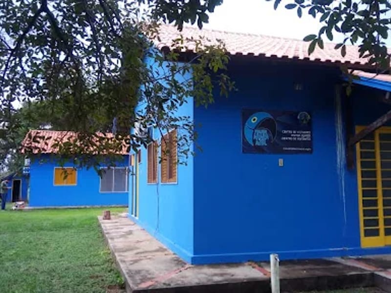 INSTITUTO ARARA AZUL DE OBESIDADE - Cuidado Domiciliar in Camaçari, BA photo 2