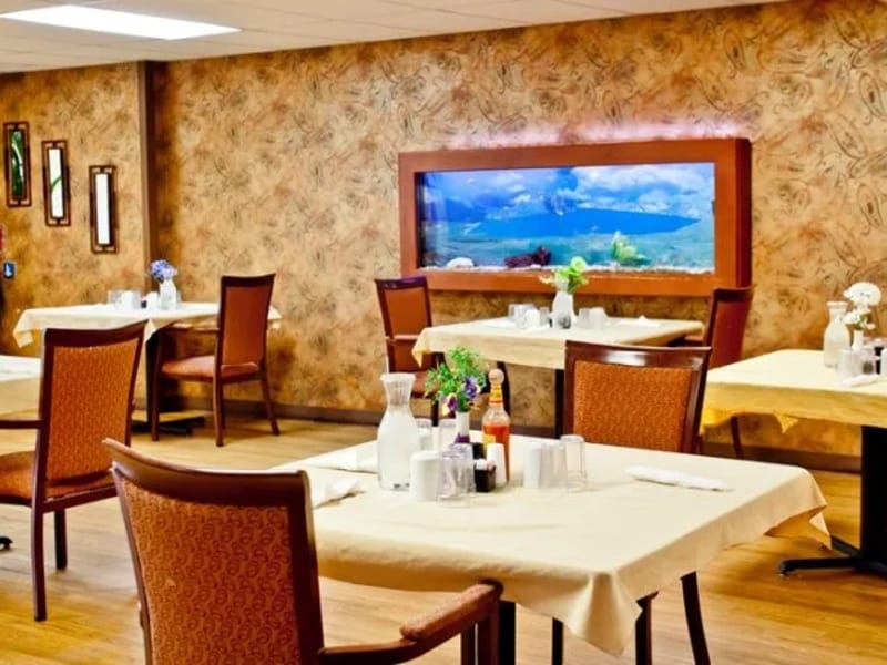 Adara Home Healthcare LLC - Home Health Nursing in Broomfield, CO photo 2