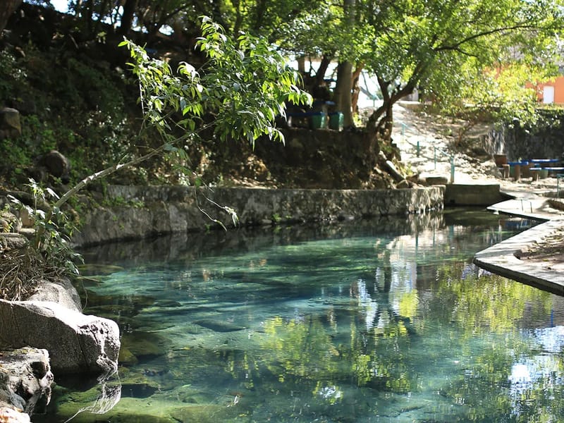 CLUB DE LA TERCERA EDAD SAN PEDRO LAGUNILAS NAY - Hogar de Ancianos in San Pedro Lagunillas, Nayarit photo 2