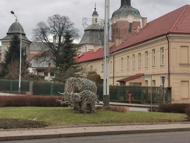 Powiat Przeworski - Dom pomocy społecznej in Przeworsk, Przeworsk photo 5
