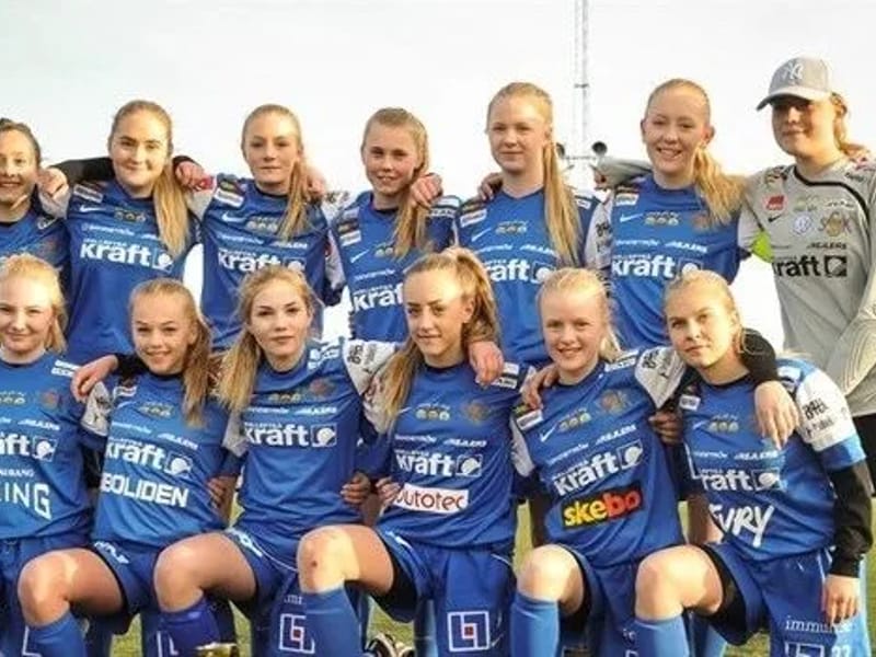 Sunnanå hemtjänst - Hemtjänst in Skellefteå, Västerbottens län photo 1