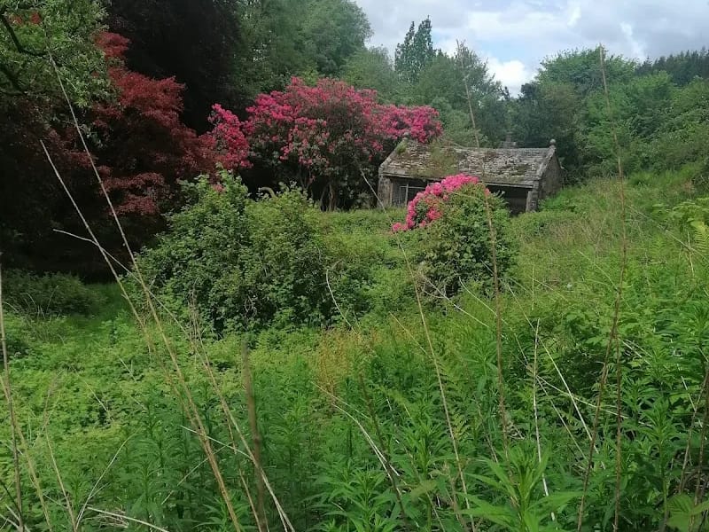 Littledale Hall Therapeutic Community - Inpatient Rehabilitation in Lancaster, England photo 3