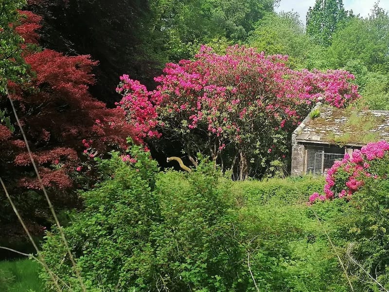 Littledale Hall Therapeutic Community - Inpatient Rehabilitation in Lancaster, England photo 6