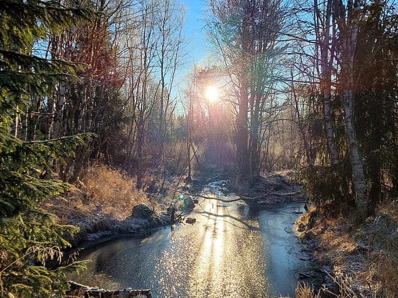 Hemvård Rätan - Hemtjänst in Berg, Jämtlands län photo 3