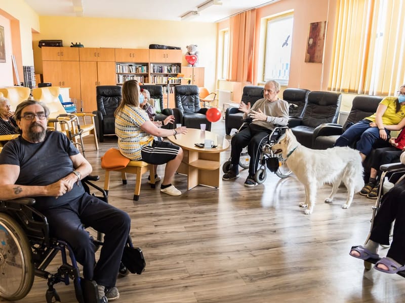 denní stacionáře (6661832) - Denní stacionář in Zlín, Zlínský kraj photo 1