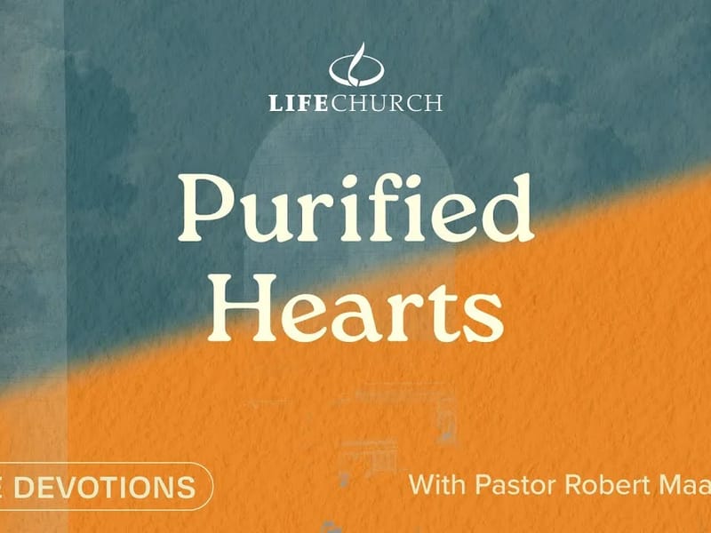 Purified Hearts Care Services in Aylesbury, England photo 1