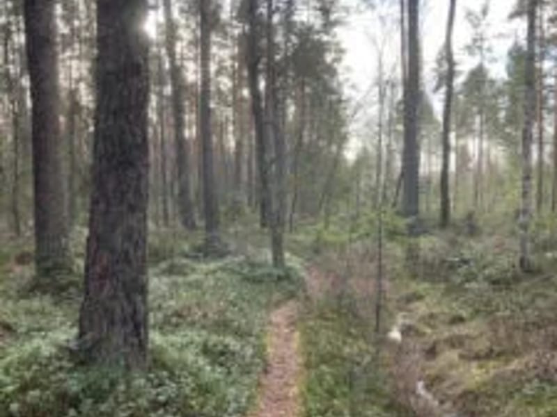 Alvesta norra hemtjänst - Hemtjänst in Alvesta, Kronobergs län photo 1