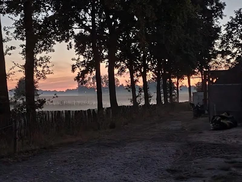 Ginderdoor Grootenhout B.V. - Begeleid Wonen in Mariahout, Limburg photo 2