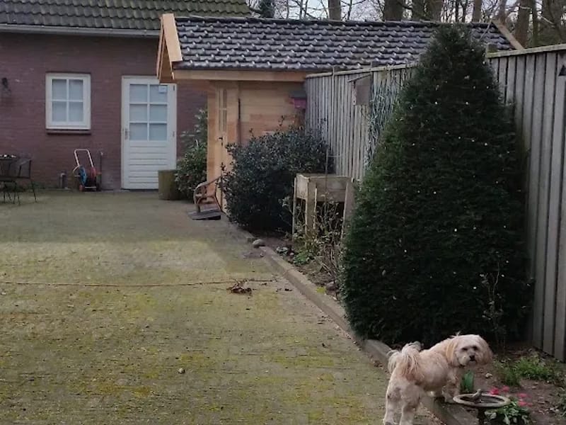 Ginderdoor Grootenhout B.V. - Begeleid Wonen in Mariahout, Limburg photo 5