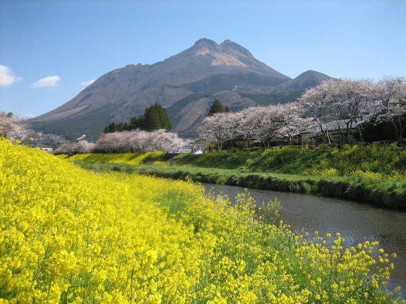 ゆとり - 有料老人ホーム in 由布市, 大分県 photo 2