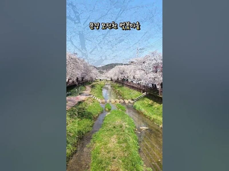 고향마을 in 문경시, 경상북도 photo 2