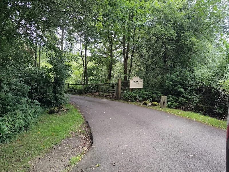 Weyspring Park - Assisted Living in Haslemere, England photo 4