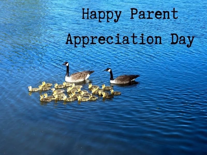 ABOVE POSSIBILITIES, LLC - Home Health Nursing in Baltimore, MD photo 2