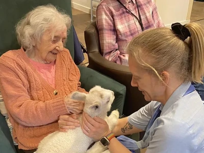 Waverley Grange Care Home - Nursing Home in Farnham, England photo 2