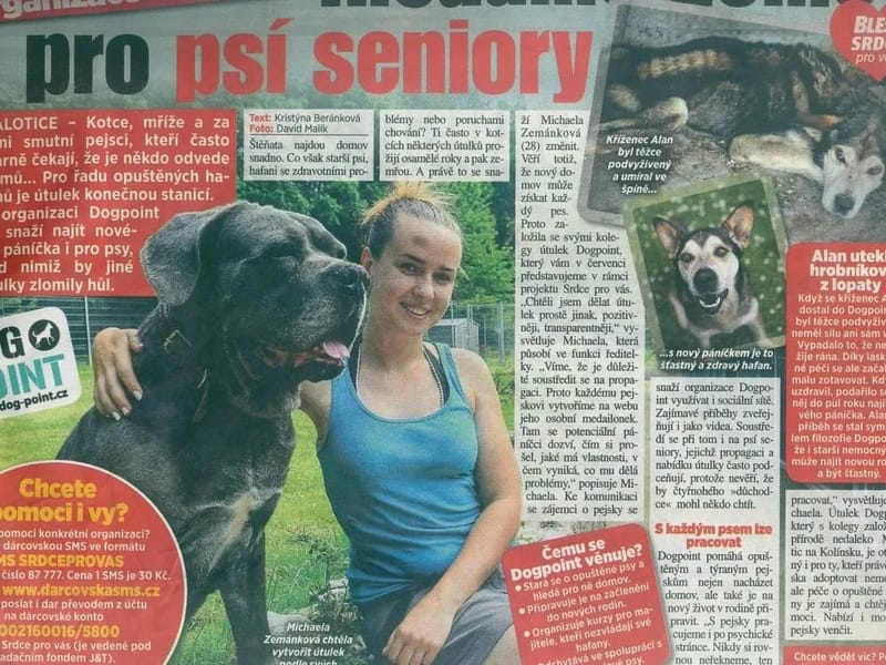 domovy pro seniory (7430343) - Podporované bydlení in Plzeň, Plzeňský kraj photo 1