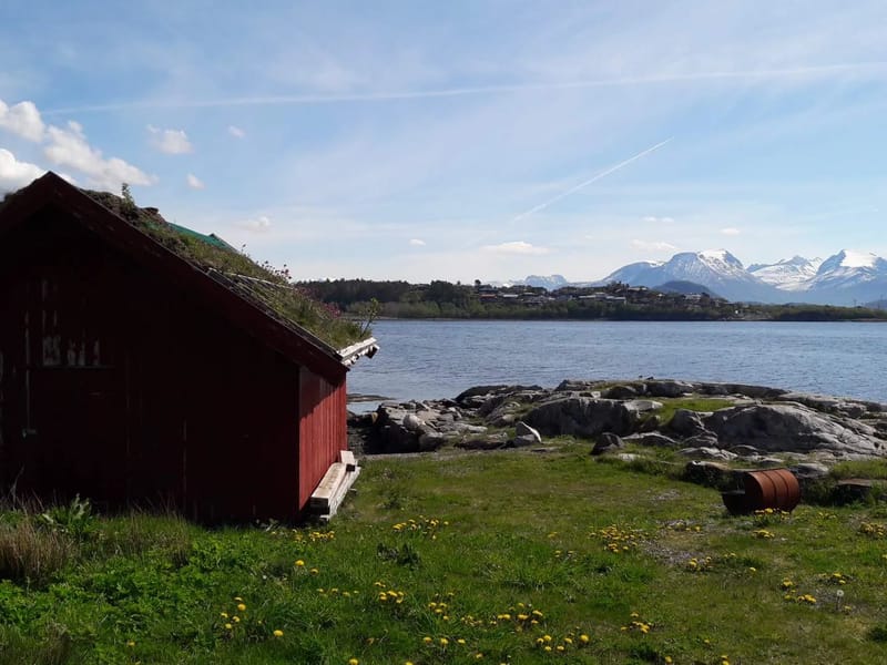 Borgundheimen dagsenter - Dagaktivitet for voksne in Ålesund, Møre og Romsdal photo 2