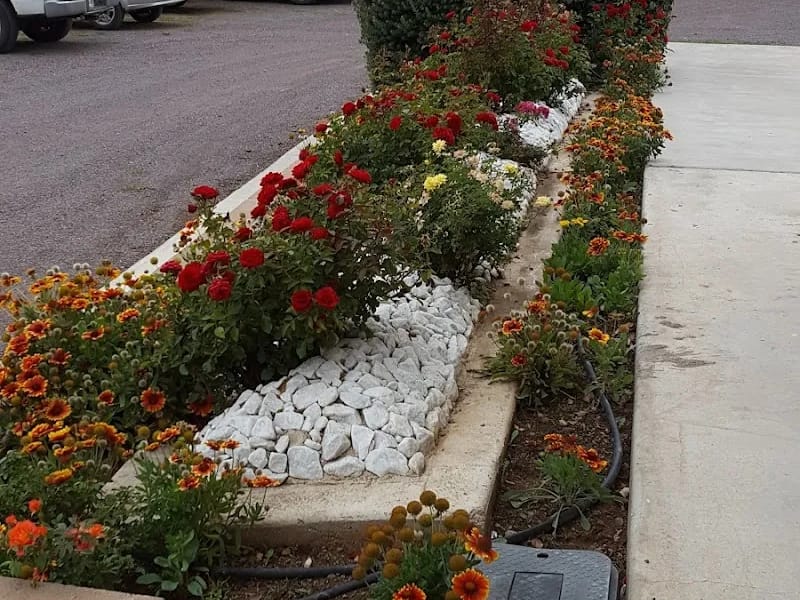 SWIFT ALTENHEIM - Hogar de Ancianos in Cuauhtémoc, Chihuahua photo 9