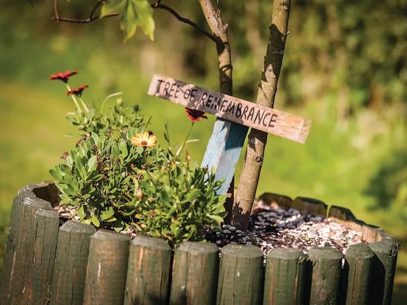 Warde Aldam - In-Home Care in Pontefract, England photo 6