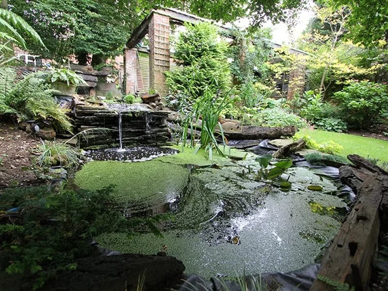 Generals Meadow - Assisted Living in Deal, England photo 3