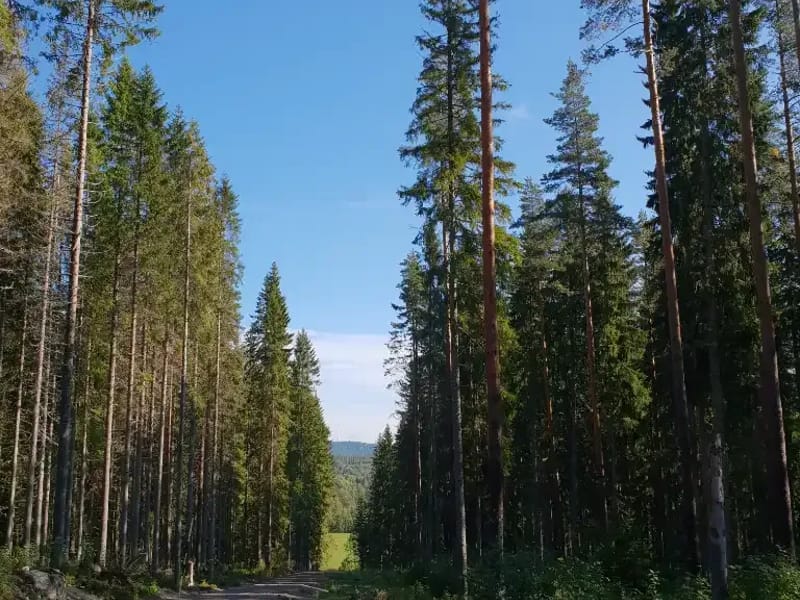 Säbo äldre, Linden - Serviceboende in Järfälla, Stockholms län photo 3