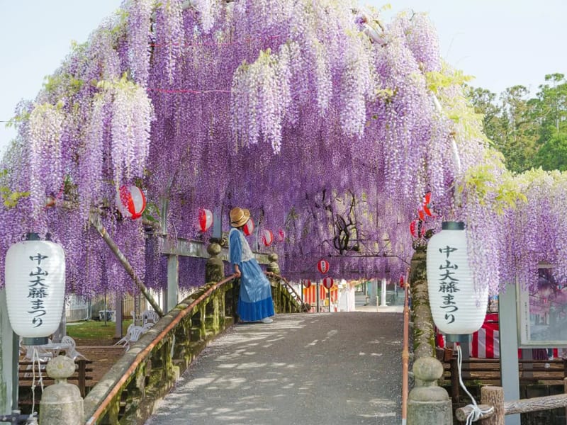 Peachnomori - デイサービス in 柳川市, 福岡県 photo 2