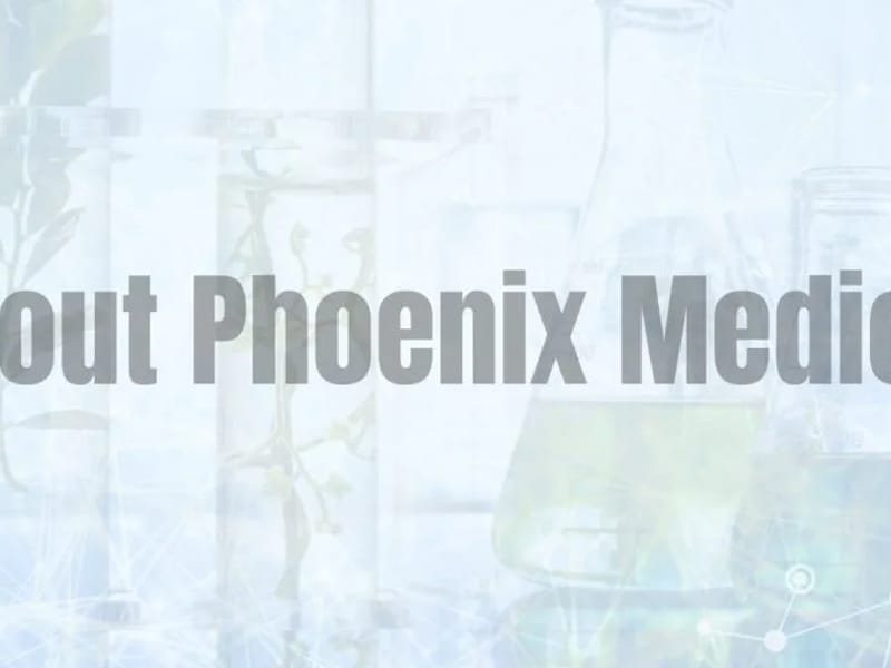 Amazing Life Medical Services, LLC - Home Health Nursing in Phoenix, AZ photo 3