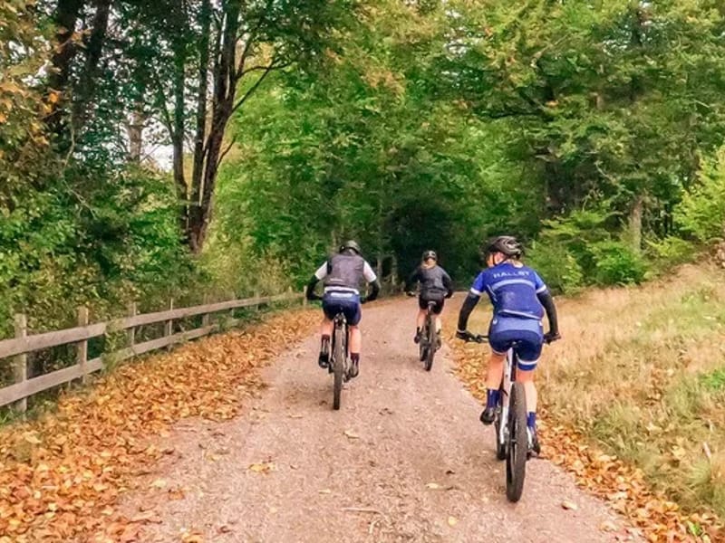 Långarydsvägen 34 - Serviceboende in Hylte, Hallands län photo 3