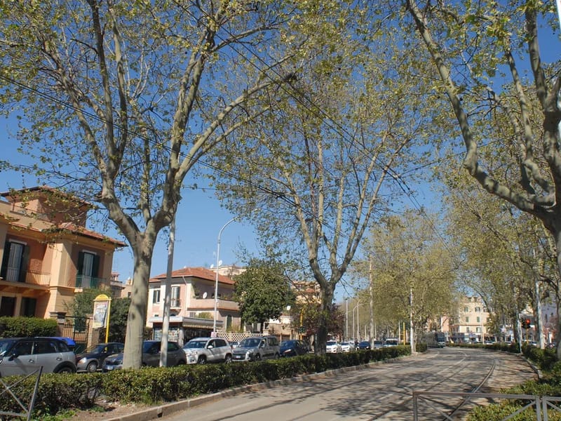 Residencia Roma in FLORES, CABA photo 2