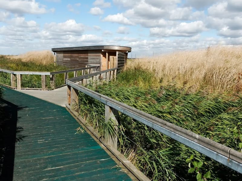 The Marshes - Assisted Living in Hailsham, England photo 1