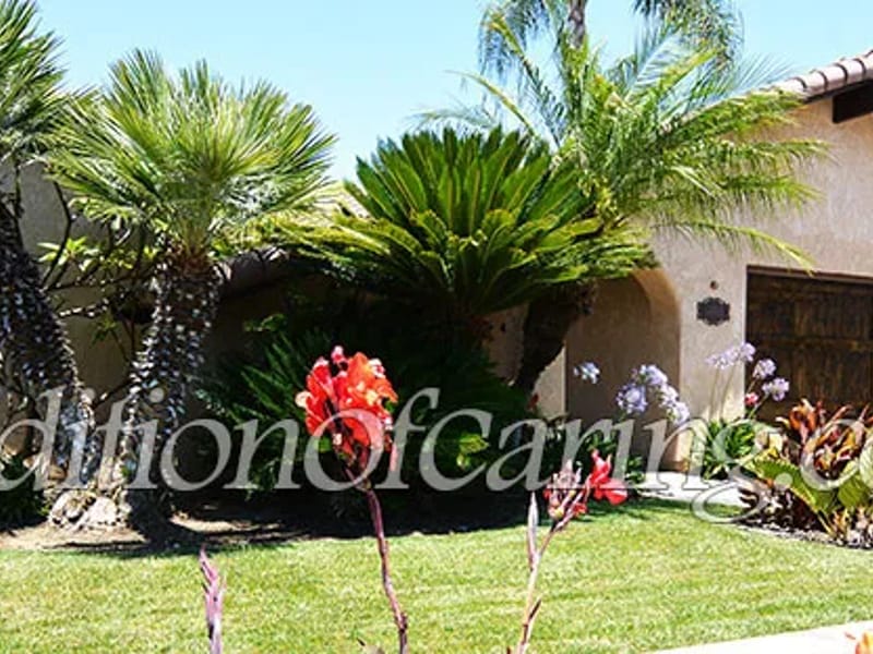 Arbor View 5 - Assisted Living in Mission Viejo, CA photo 1