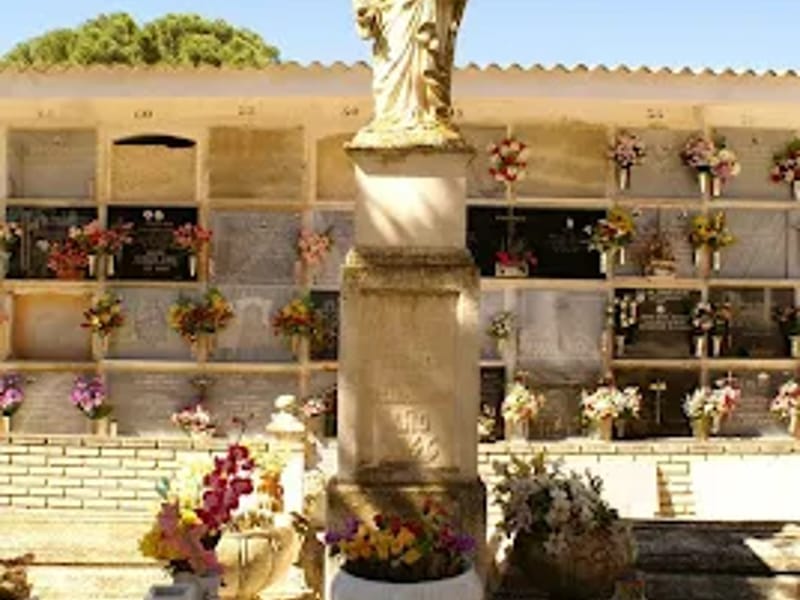 Residencia De Mayores Gerovida Tobarra - Hogar de Ancianos in Tobarra, Castilla-La Mancha photo 2